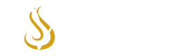 Logo vloss professional